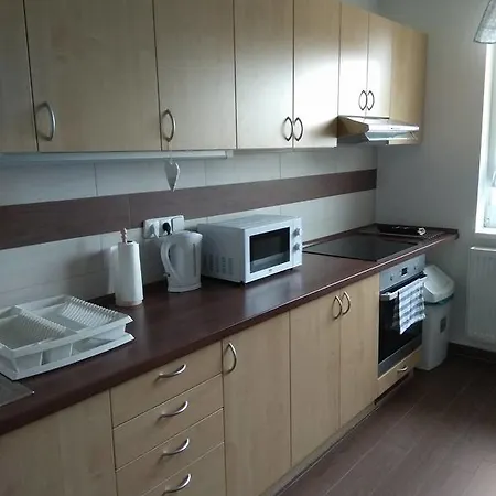 Pod Lesem Apartment Bohutín