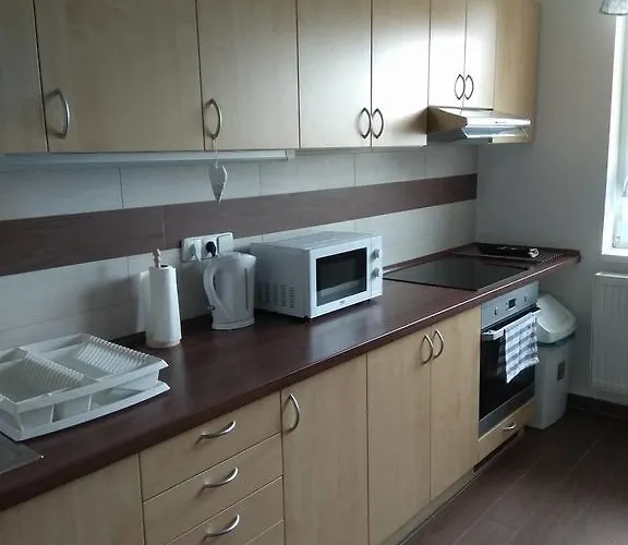 Pod Lesem 아파트 Bohutín